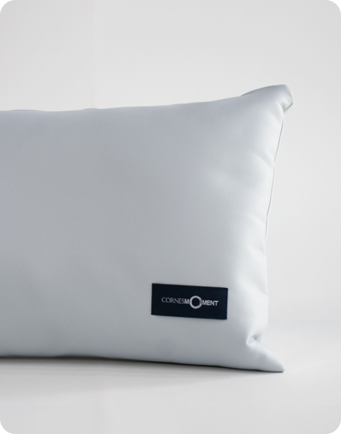 CORNES MOTORS